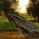 La Gnostra Bed & Breakfast 3*